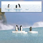070-7923 - H0 - A-Set: Pinguine auf Eis